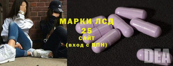 индика Арсеньев