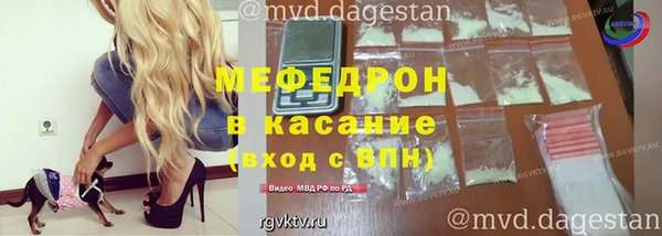 индика Арсеньев
