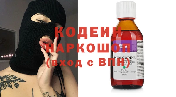 индика Балабаново