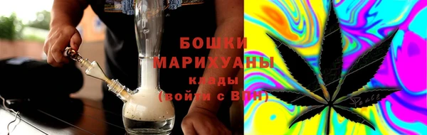 индика Арсеньев