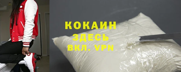 индика Арсеньев