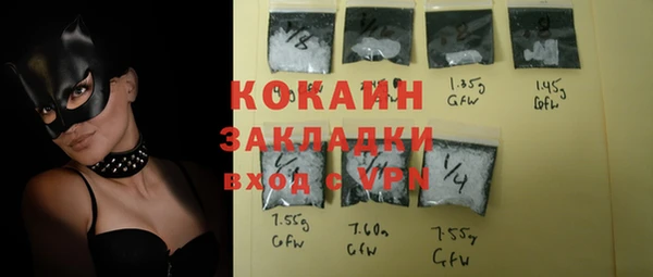 индика Арсеньев