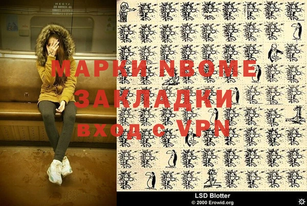 индика Арсеньев