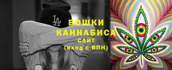 индика Арсеньев