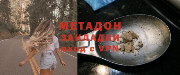 индика Арсеньев