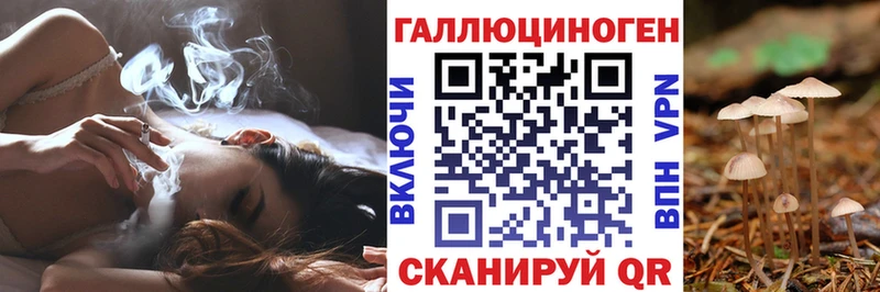 Галлюциногенные грибы MAGIC MUSHROOMS Петровск-Забайкальский