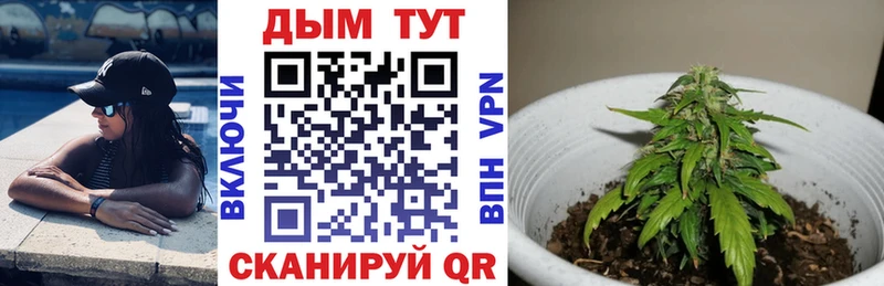 Шишки марихуана план  Петровск-Забайкальский 